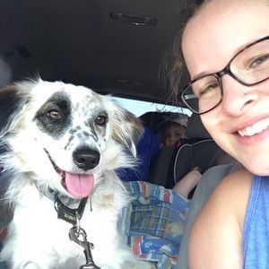 Meet your Posher, Palestina